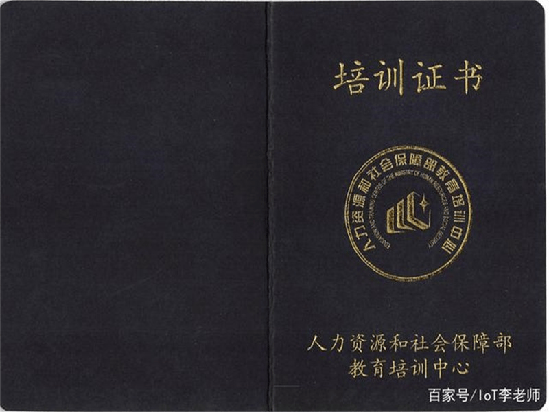 聘书任命书定制 聘书任命书定制-红金大气喜庆风